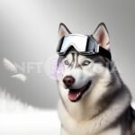 Cool Husky in Snow Goggles